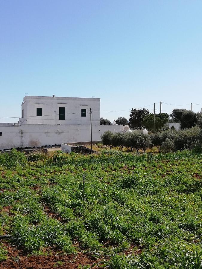 Masseria Ricci Fasano Exterior foto