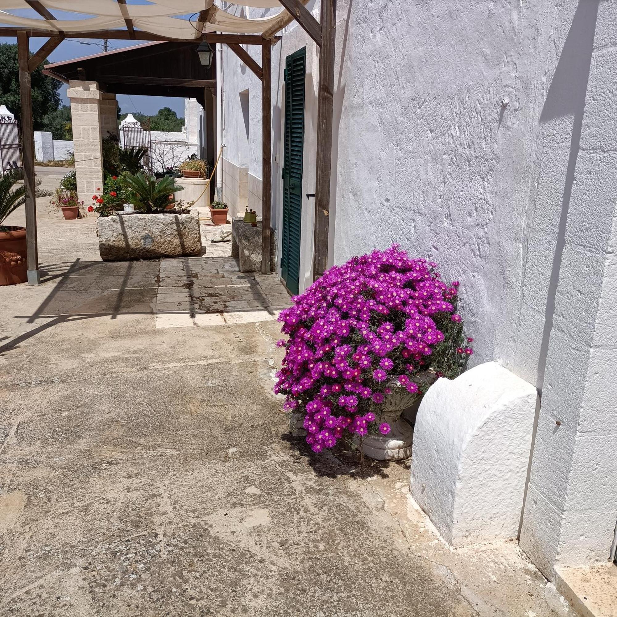 Masseria Ricci Fasano Exterior foto